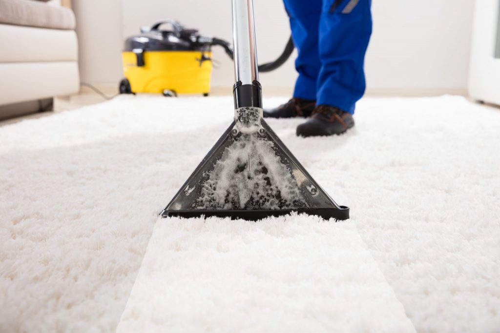 Mold Removal in Pinecrest FL​